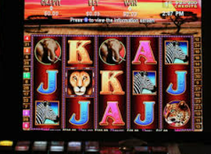 森林舞会电玩城2024最新版